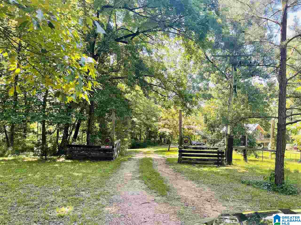 2070 Birmingham Road Centreville, AL 35042 - Photo 7 of 10