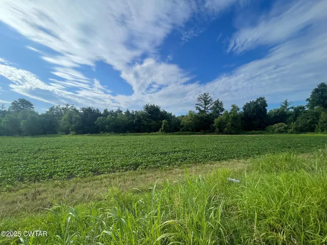 a view of field with green space