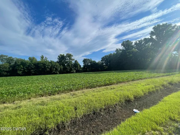 a view of field with grass and trees