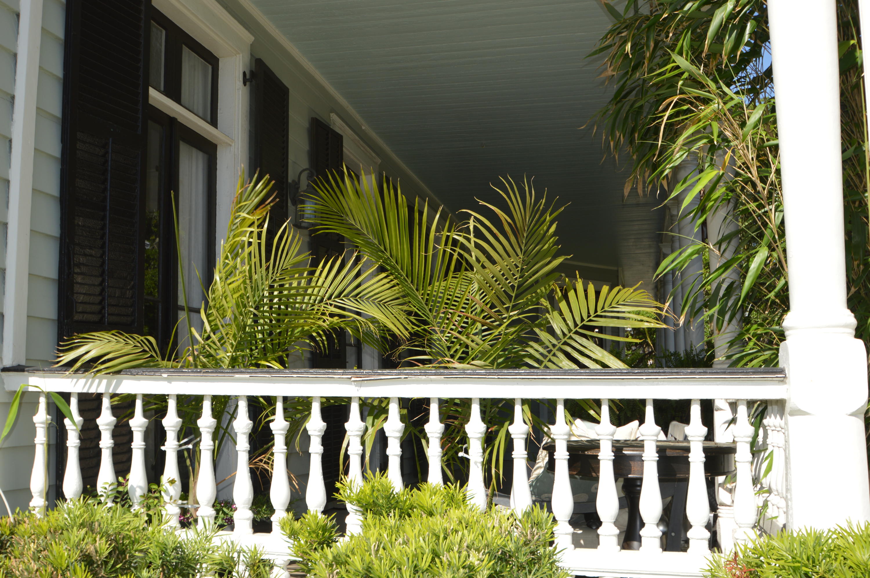 58 Rutledge Avenue, Unit A Charleston, SC 29401 - Photo 5 of 37 DSC_0197