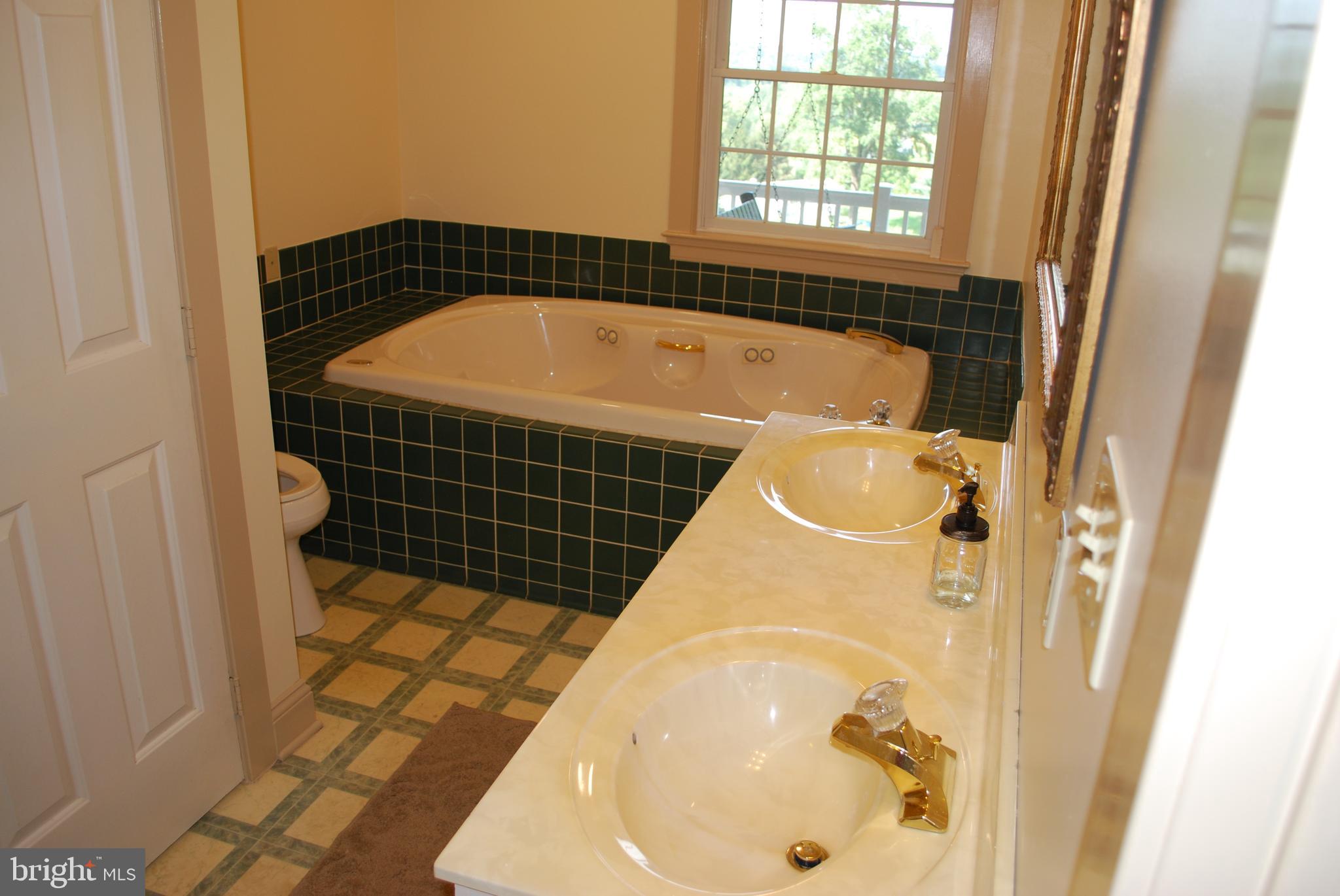 3901 Water Tank Road Manchester, MD 21102 - Photo 21 of 45 Master first floor bath, whirlpool tub