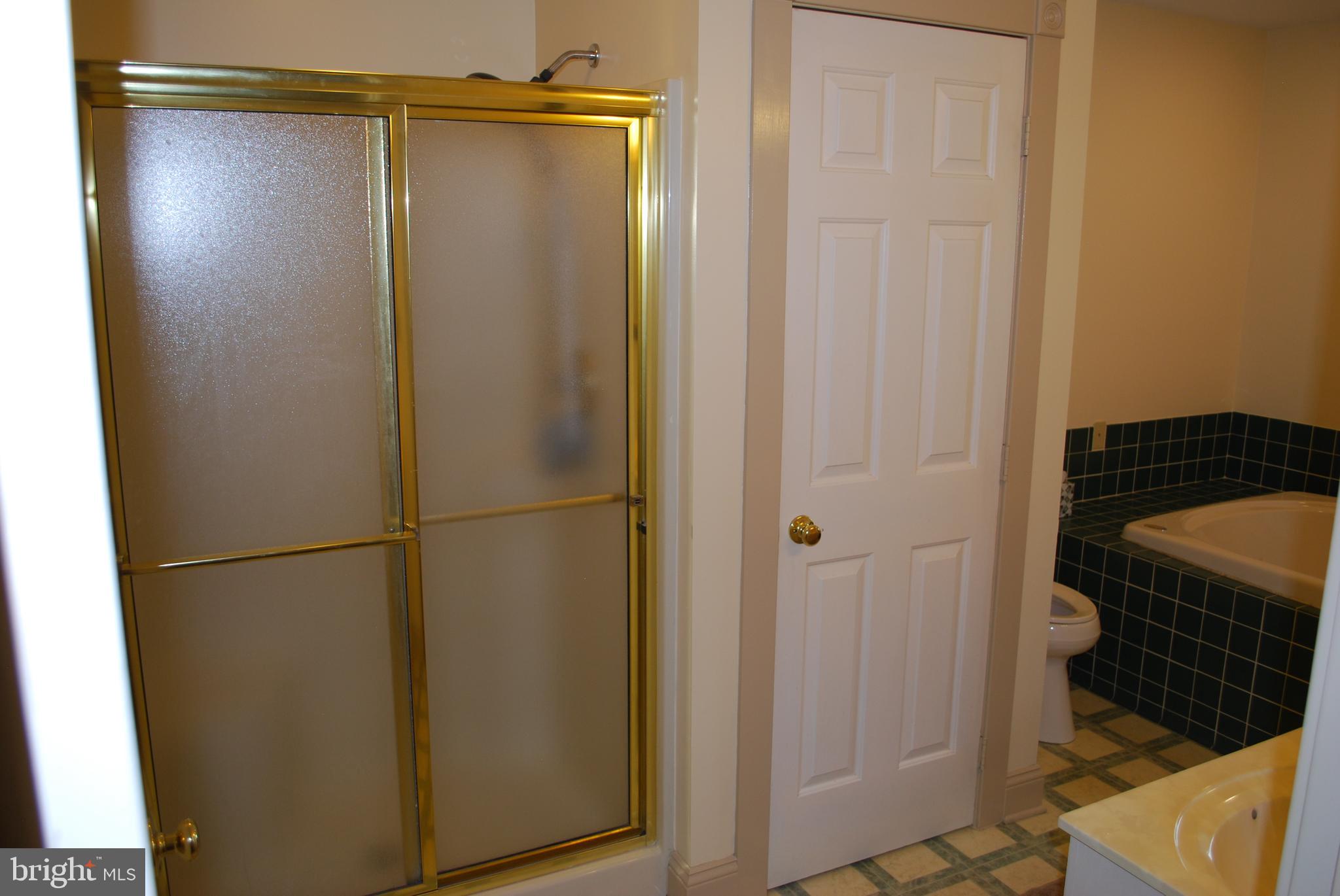 3901 Water Tank Road Manchester, MD 21102 - Photo 22 of 45 Master bath separate shower