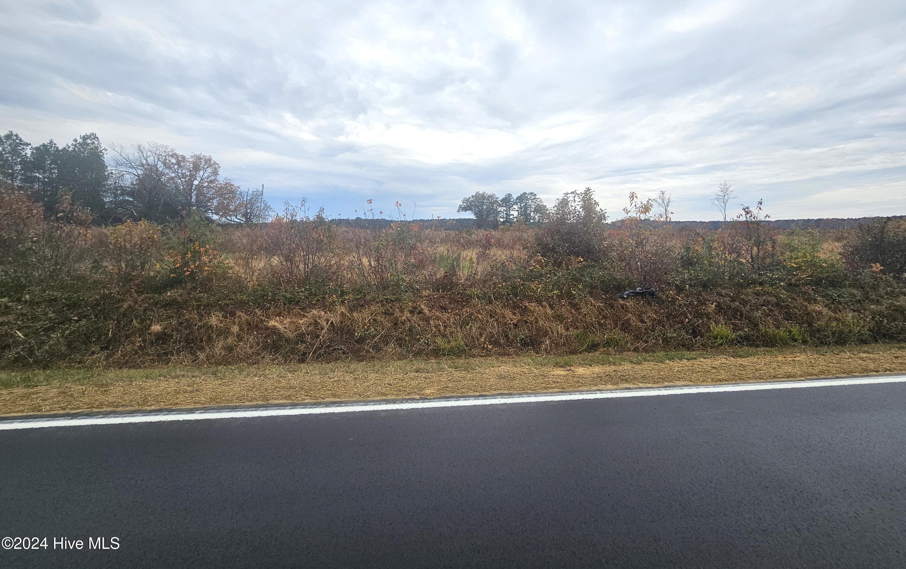 Tbd Lasker Golf Course Road Woodland, NC 27897 - Photo 1 of 2 20241126_115041