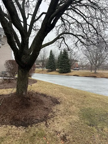 a view of yard with large tree and wooden fence