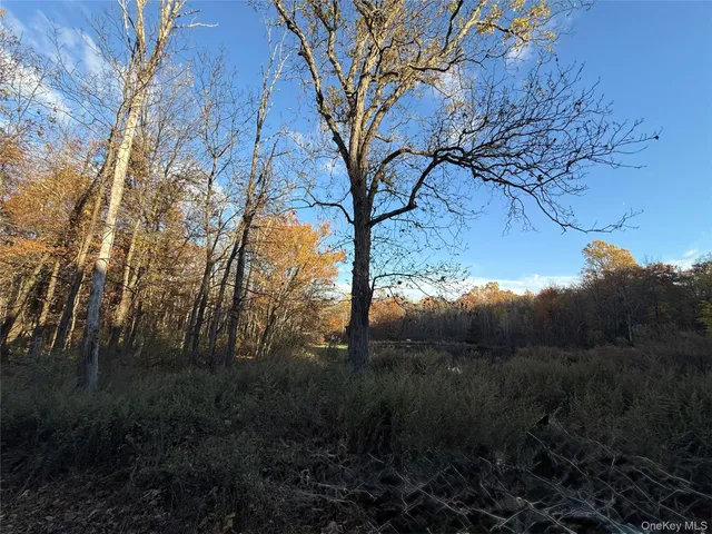 $672,500 | 118 Old Roosa Gap Road, Bloomingburg, NY 12721