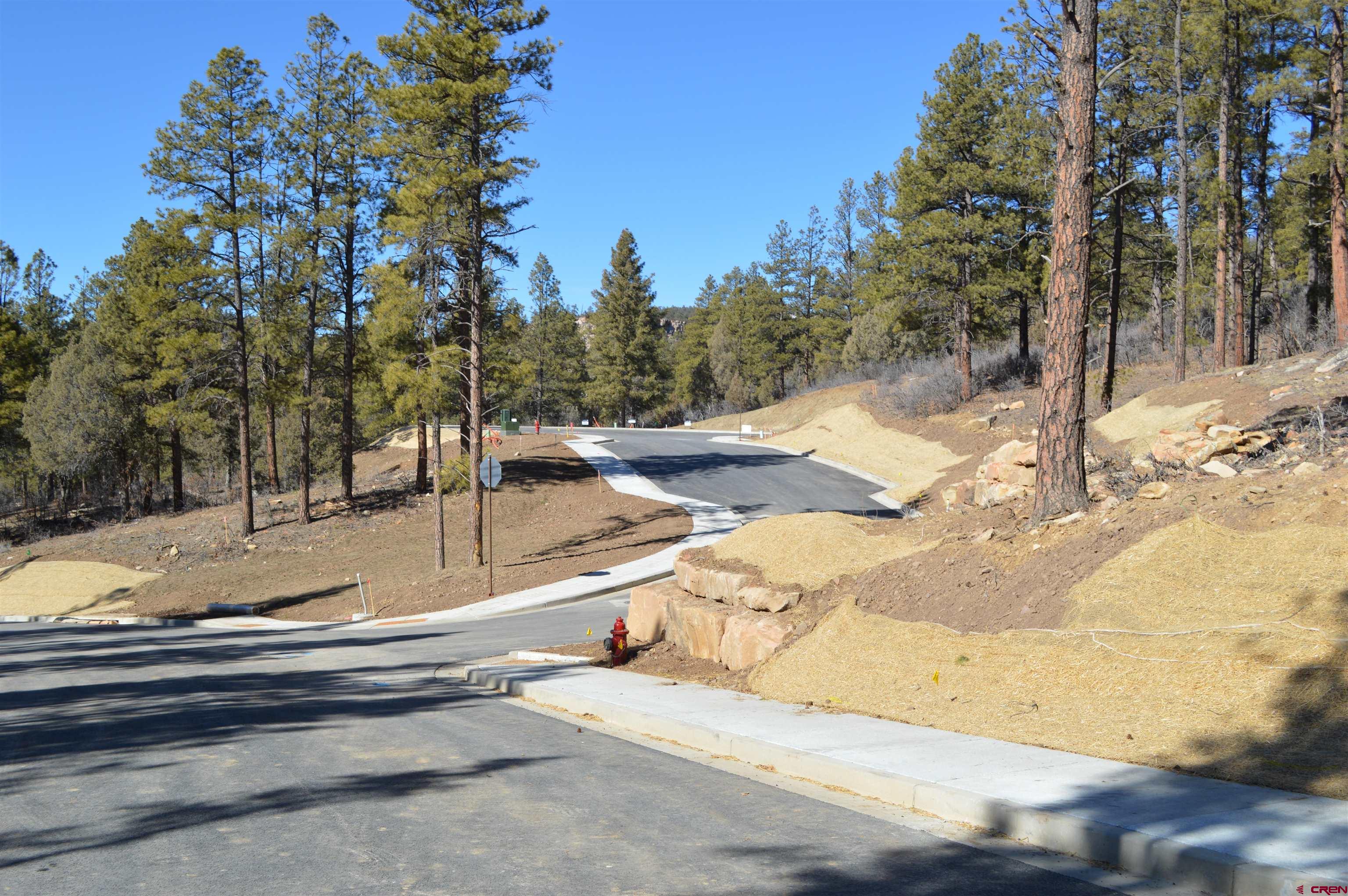774 Tipple Avenue Durango, CO 81301 - Photo 19 of 32 a view of yard along with trees