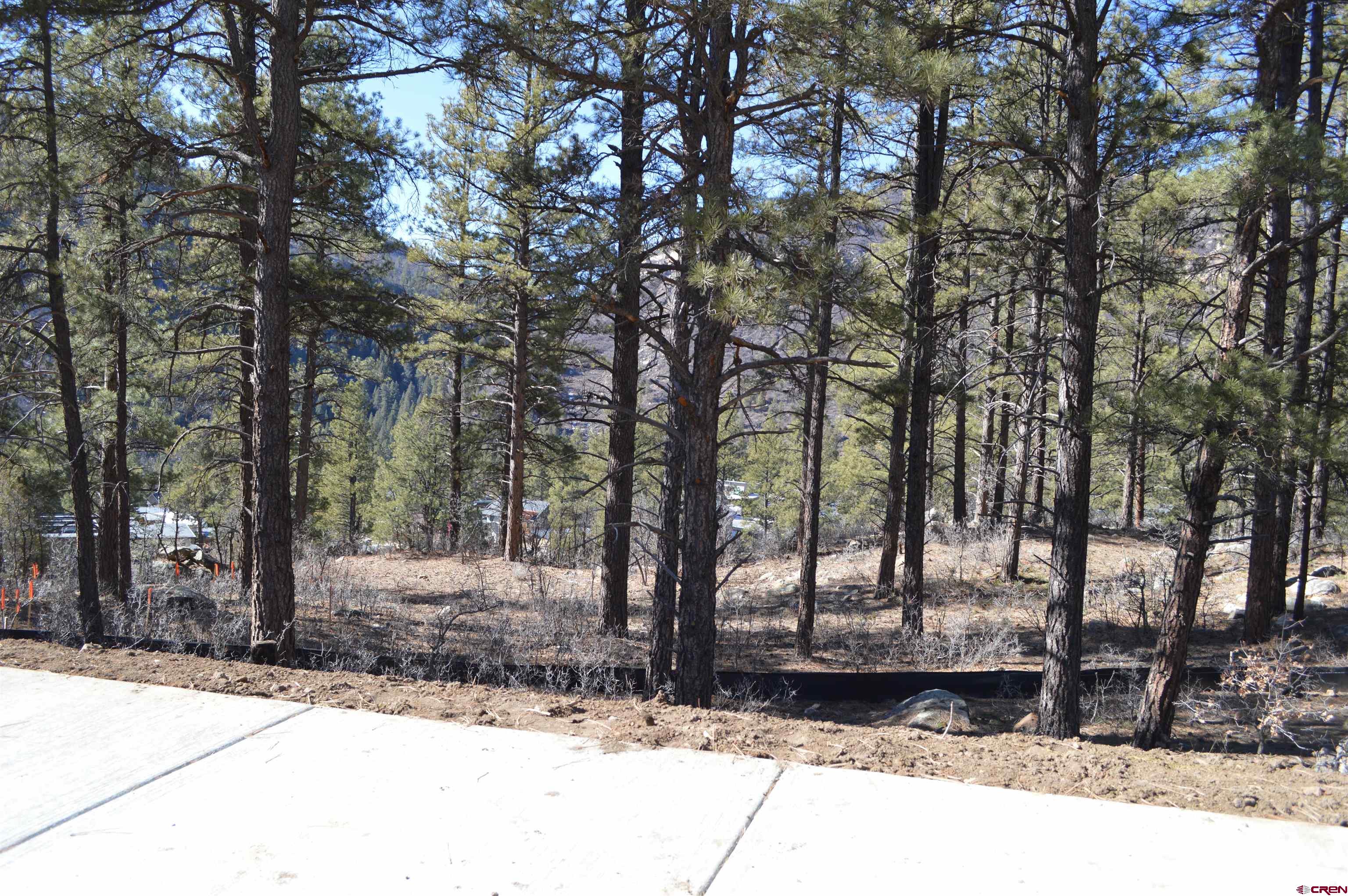 774 Tipple Avenue Durango, CO 81301 - Photo 4 of 32