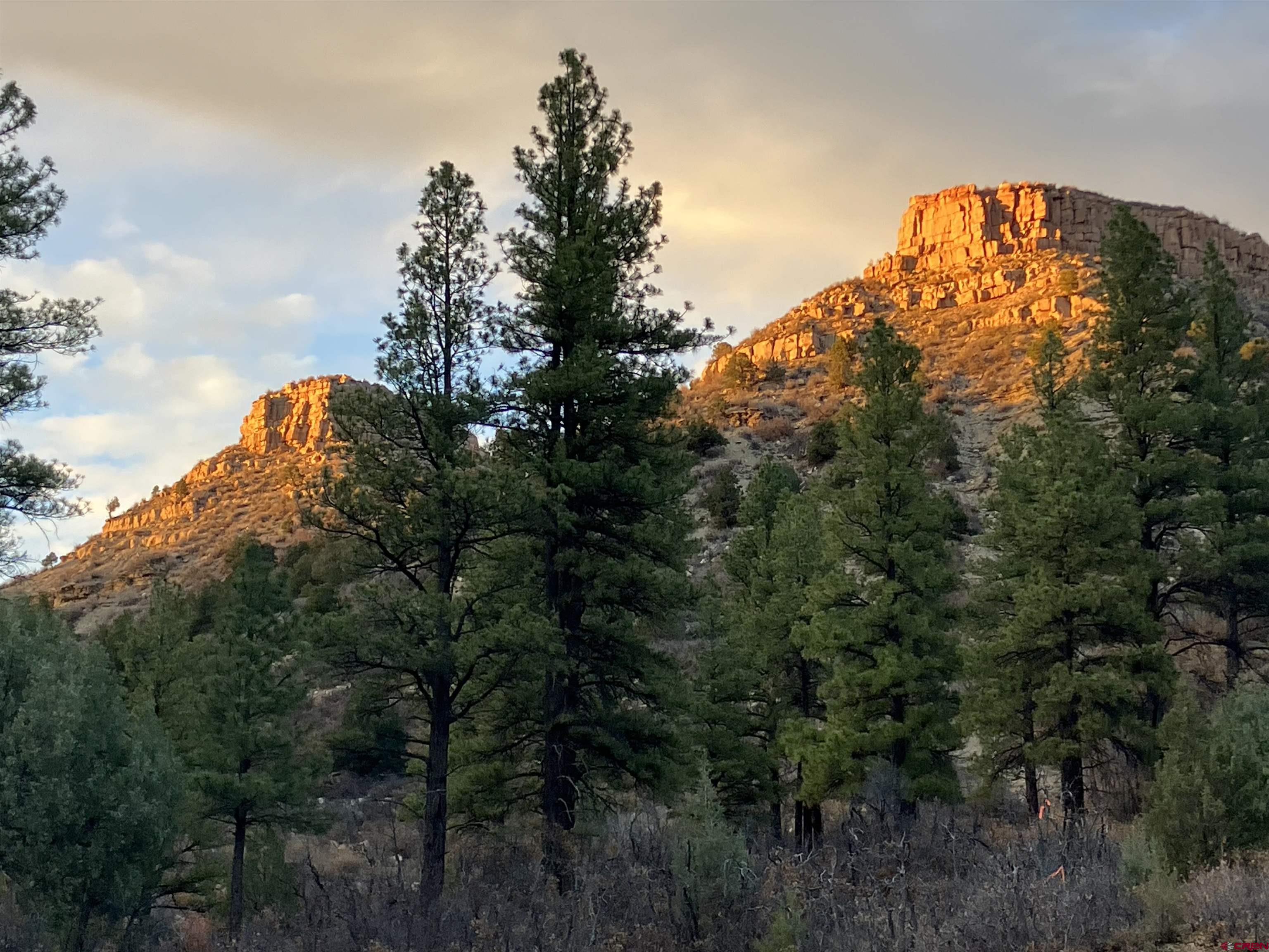 774 Tipple Avenue Durango, CO 81301 - Photo 4 of 17