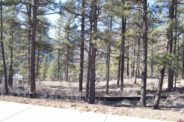 a view of a backyard with trees