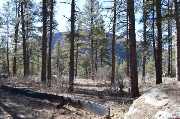a view of lake with green space
