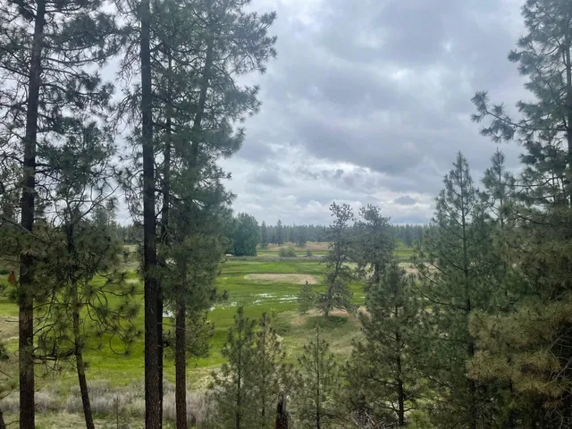 $175,000 | Xxx South Cheney Plaza Road, Cheney, WA 99004