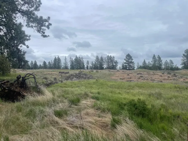 $175,000 | Xxx South Cheney Plaza Road, Cheney, WA 99004