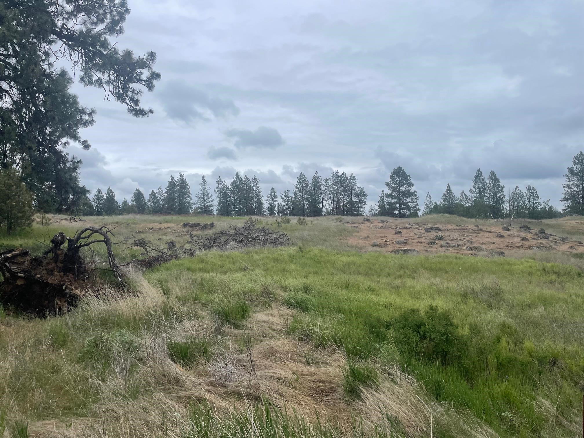 Xxx South Cheney Plaza Road Cheney, WA 99004 - Photo 2 of 9