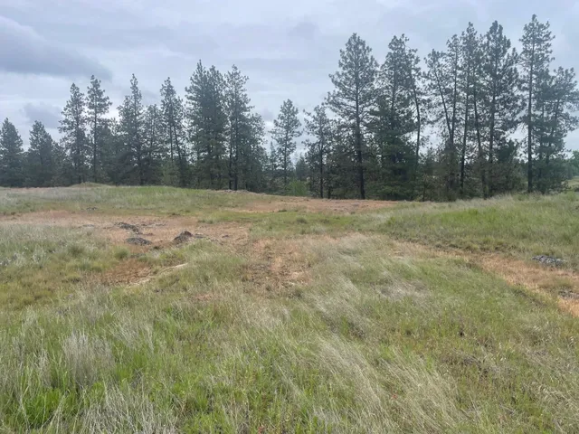 $175,000 | Xxx South Cheney Plaza Road, Cheney, WA 99004