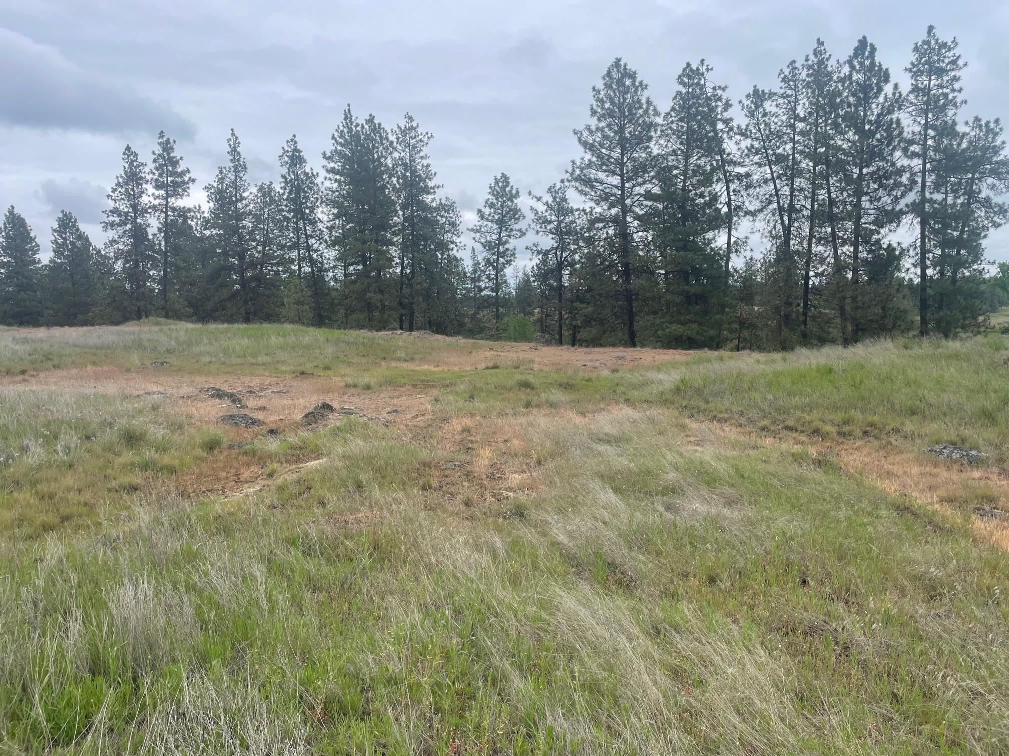 Xxx South Cheney Plaza Road Cheney, WA 99004 - Photo 3 of 9