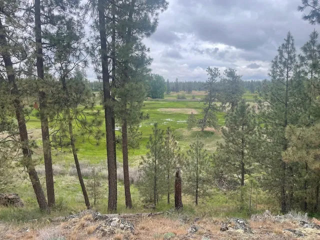 $175,000 | Xxx South Cheney Plaza Road, Cheney, WA 99004