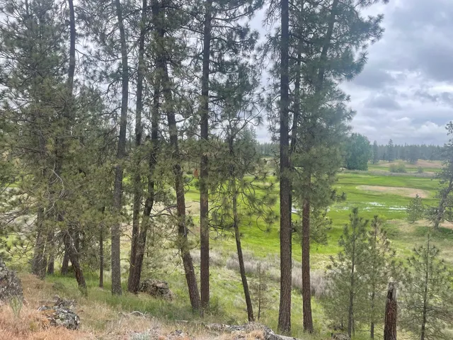 $175,000 | Xxx South Cheney Plaza Road, Cheney, WA 99004