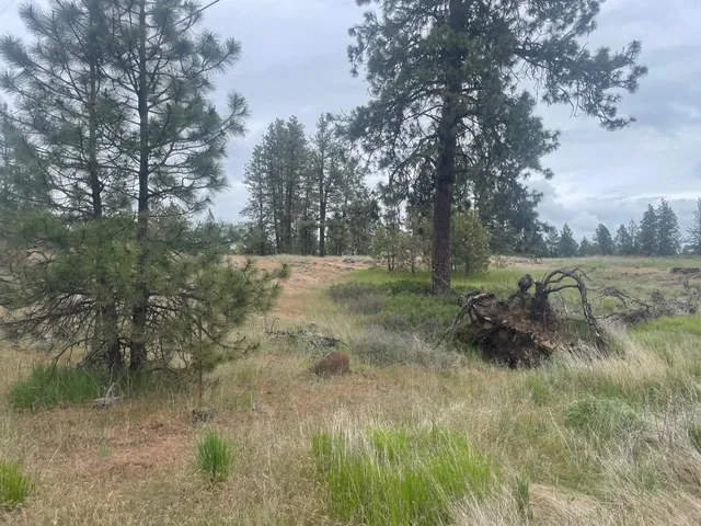 $175,000 | Xxx South Cheney Plaza Road, Cheney, WA 99004