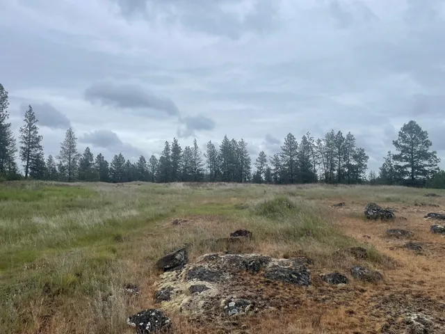 $175,000 | Xxx South Cheney Plaza Road, Cheney, WA 99004