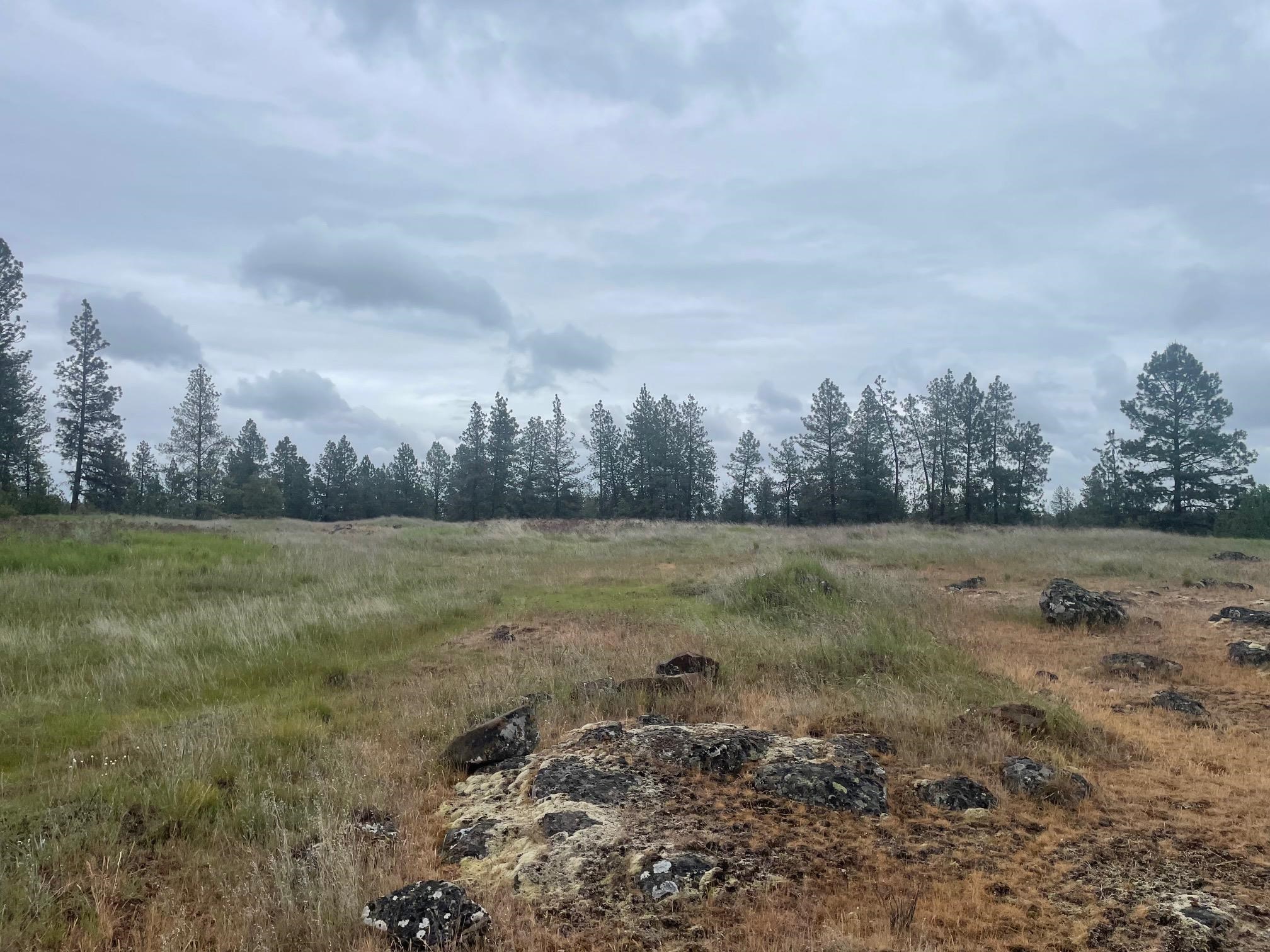 Xxx South Cheney Plaza Road Cheney, WA 99004 - Photo 7 of 9