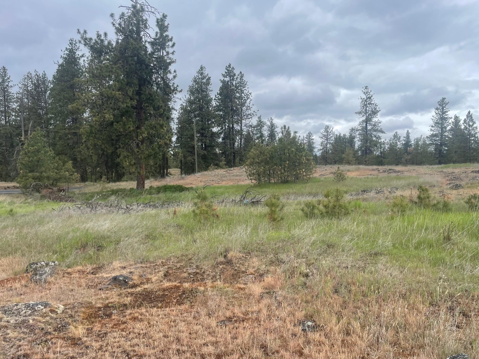 Xxx South Cheney Plaza Road Cheney, WA 99004 - Photo 8 of 9