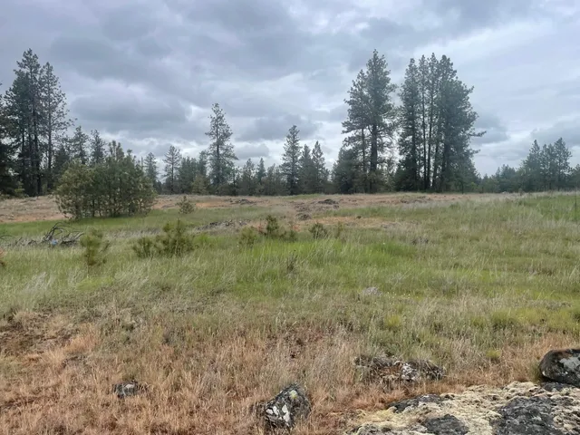 $175,000 | Xxx South Cheney Plaza Road, Cheney, WA 99004