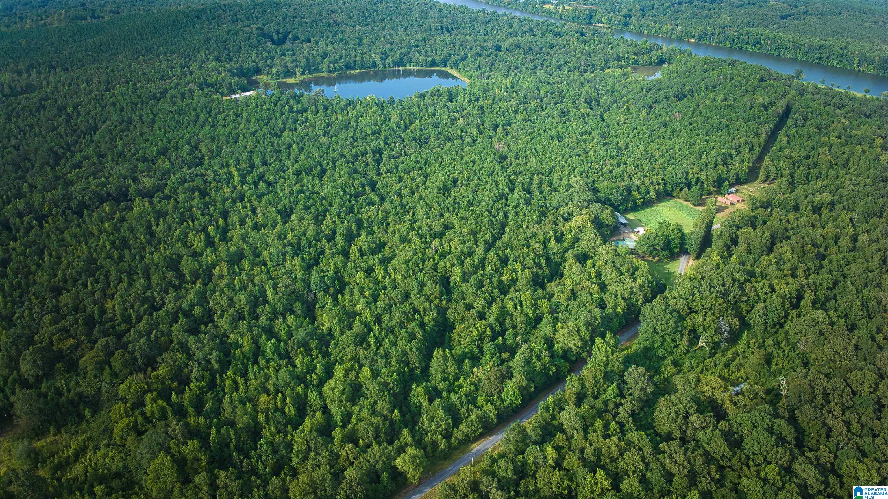 Lot 20 Wester Road, Unit LOT 20 Ragland, AL 35131 - Photo 55 of 68