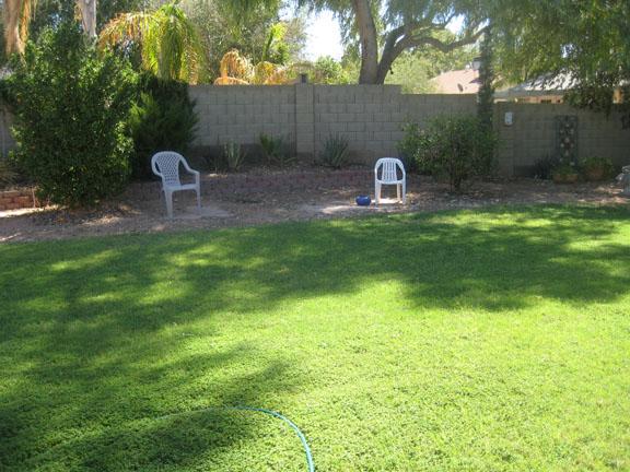 457 South Terrace Road Chandler, AZ 85226 - Photo 8 of 11 terrace8