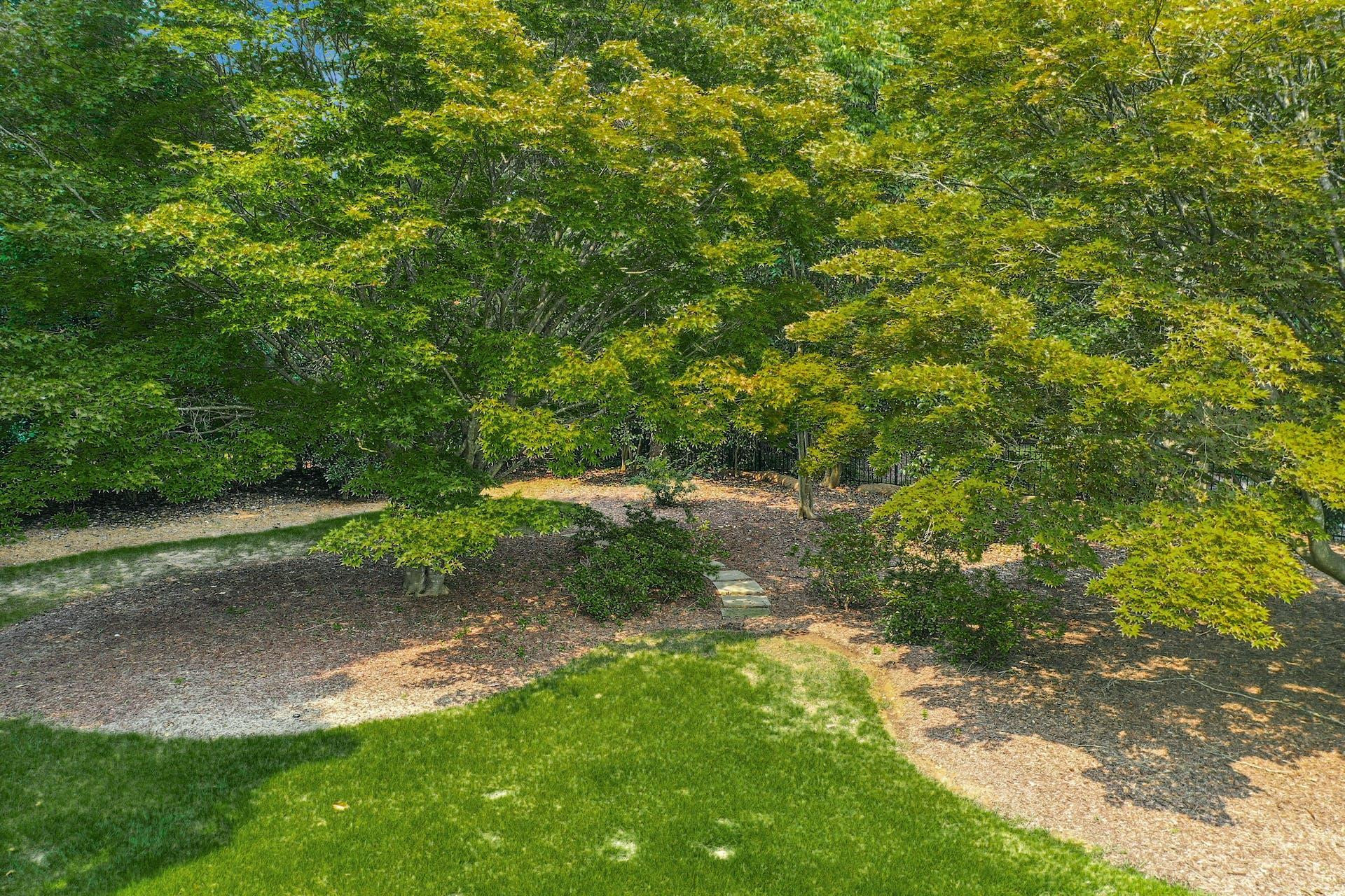 2610 Churchill Road Raleigh, NC 27608 - Photo 50 of 67 Backyard