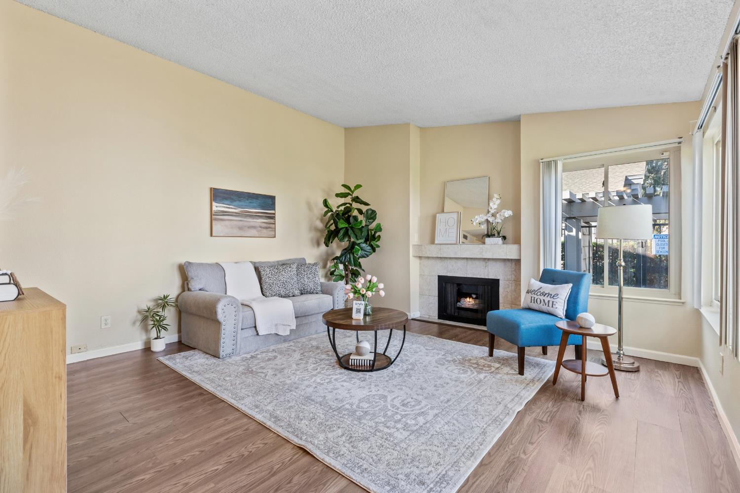 1313 Floyd Avenue, Unit 179 Modesto, CA 95355 - Photo 5 of 28 a living room with furniture a fireplace and a potted plant