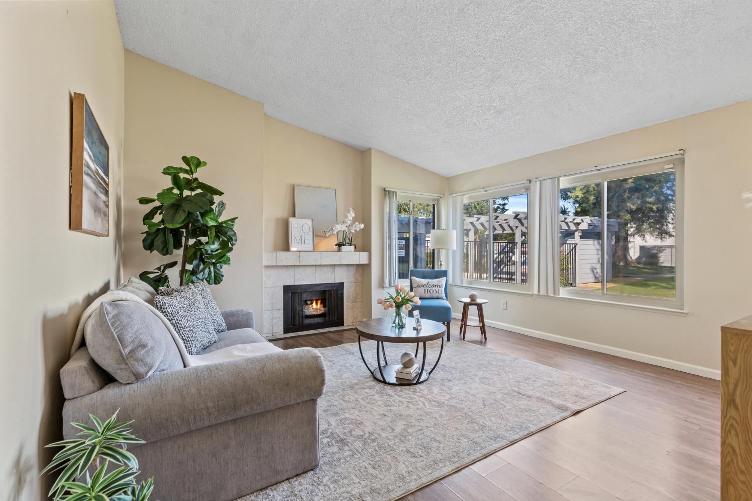 1313 Floyd Avenue, Unit 179 Modesto, CA 95355 - Photo 6 of 28 a living room with furniture and a fireplace