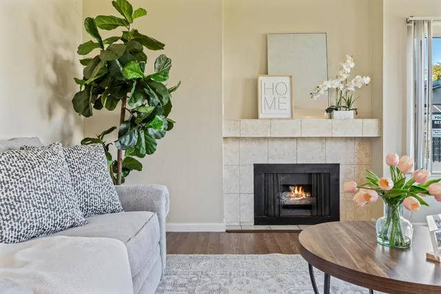 a living room with a fireplace furniture a potted plant and a fireplace