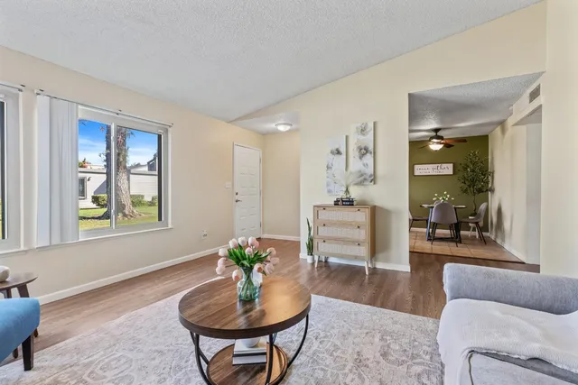 a living room with furniture and a potted plant
