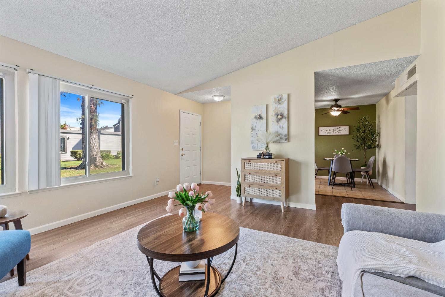 1313 Floyd Avenue, Unit 179 Modesto, CA 95355 - Photo 8 of 28 a living room with furniture and a potted plant