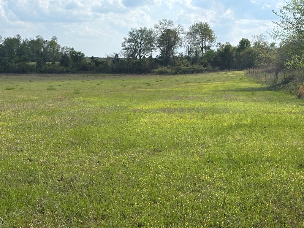 0 Hayes Road Mauk, GA 31058 - Photo 14 of 14 looking south across the upper pasture