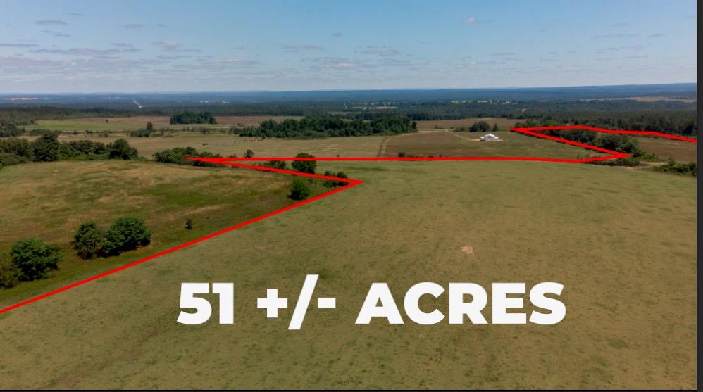0 Hayes Road Mauk, GA 31058 - Photo 2 of 14 Lines are approximate, looking north from southern