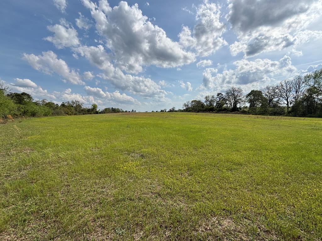 0 Hayes Road Mauk, GA 31058 - Photo 4 of 14 looking east