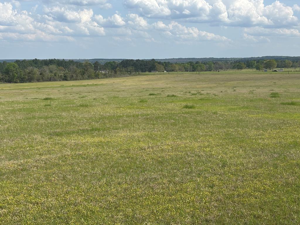 0 Hayes Road Mauk, GA 31058 - Photo 5 of 14 looking southeast across the 38 ac upper pasture