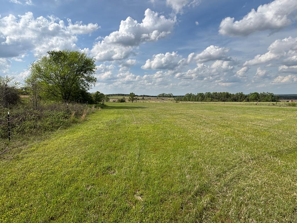 0 Hayes Road Mauk, GA 31058 - Photo 6 of 14 looking NW across the upper pasture