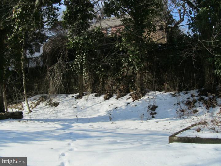 124 Parkview Road Cheltenham, PA 19012 - Photo 25 of 25 Back Yard