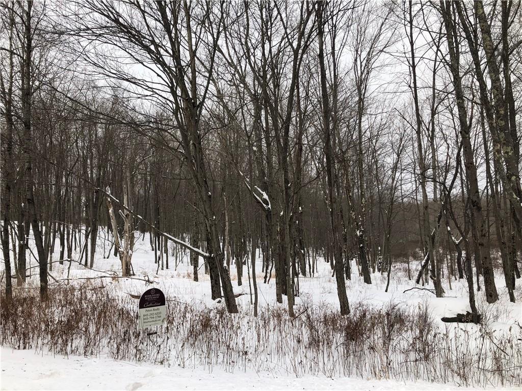 0 Knickerbocker Road Livingston Manor, NY 12758 - Photo 1 of 1 Gallery Image 1