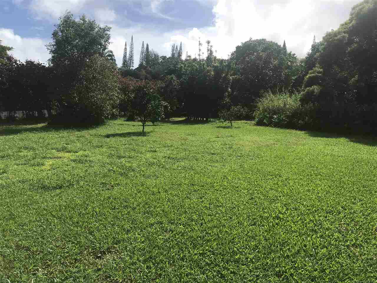 197 Honopou Road Haiku, HI 96708 - Photo 5 of 30 a view of a grassy field