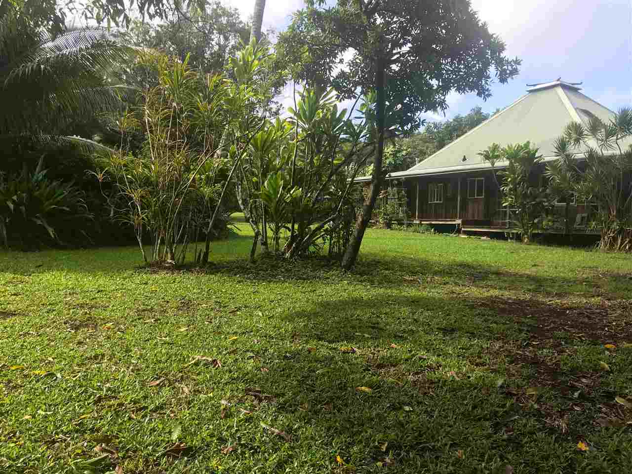 197 Honopou Road Haiku, HI 96708 - Photo 8 of 30 a view of a yard in front of house