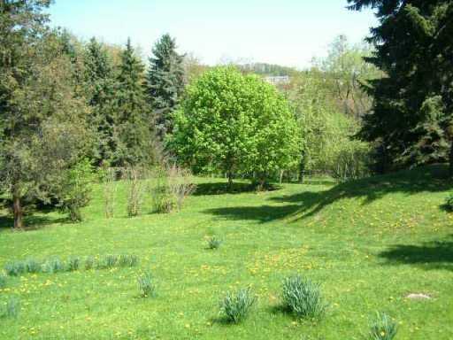 911 Glass Run Road Baldwin, PA 15236 - Photo 8 of 8 Gallery Image 8