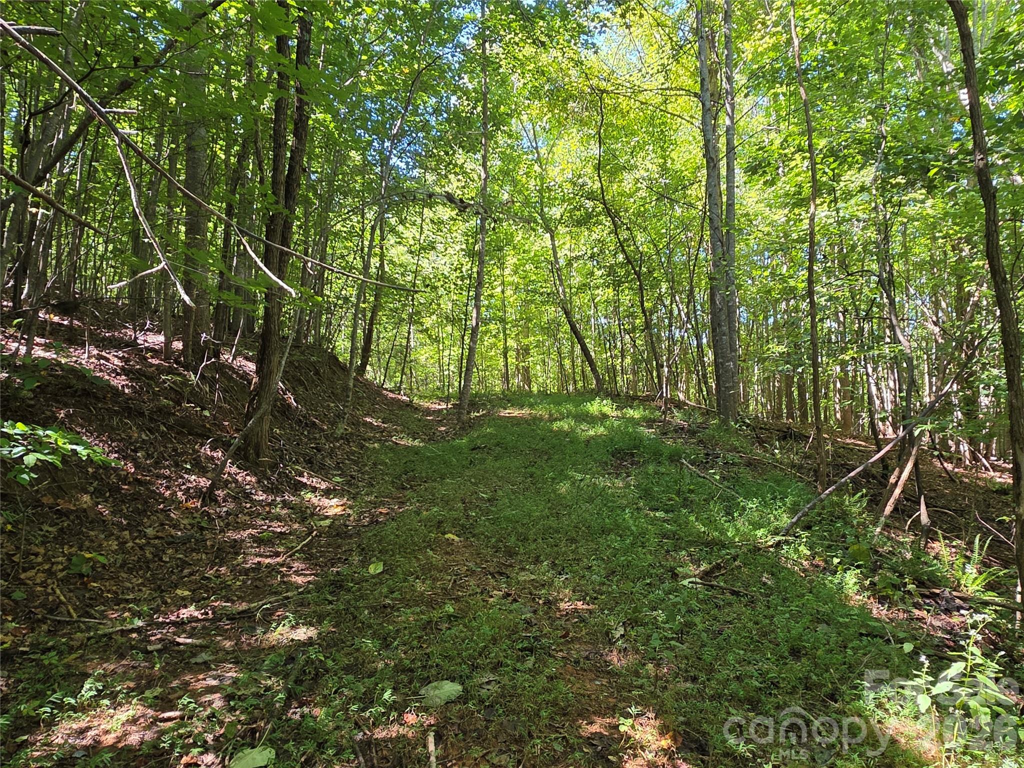 19 Meditation Rdg Dr Extension Nebo, NC 28761 - Photo 14 of 30 Gallery Image 14