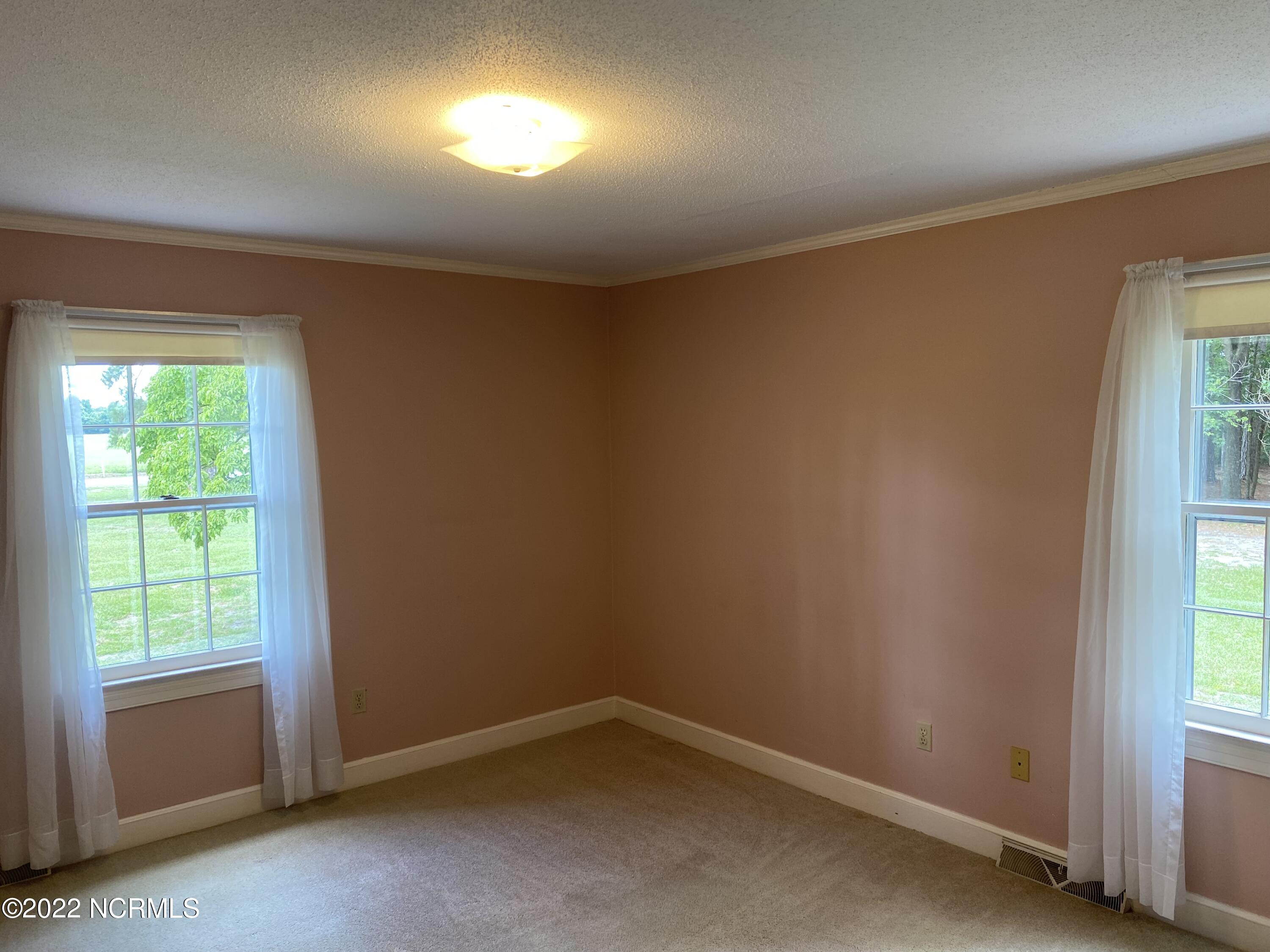 236 Piney Grove Road Albertson, NC 28508 - Photo 22 of 33 IMG_2975