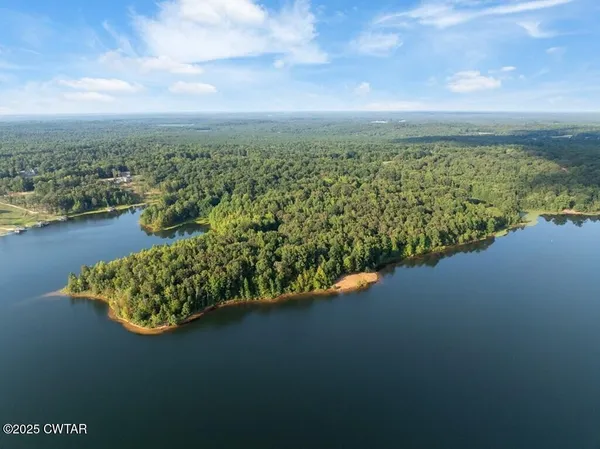 a view of a lake with a city