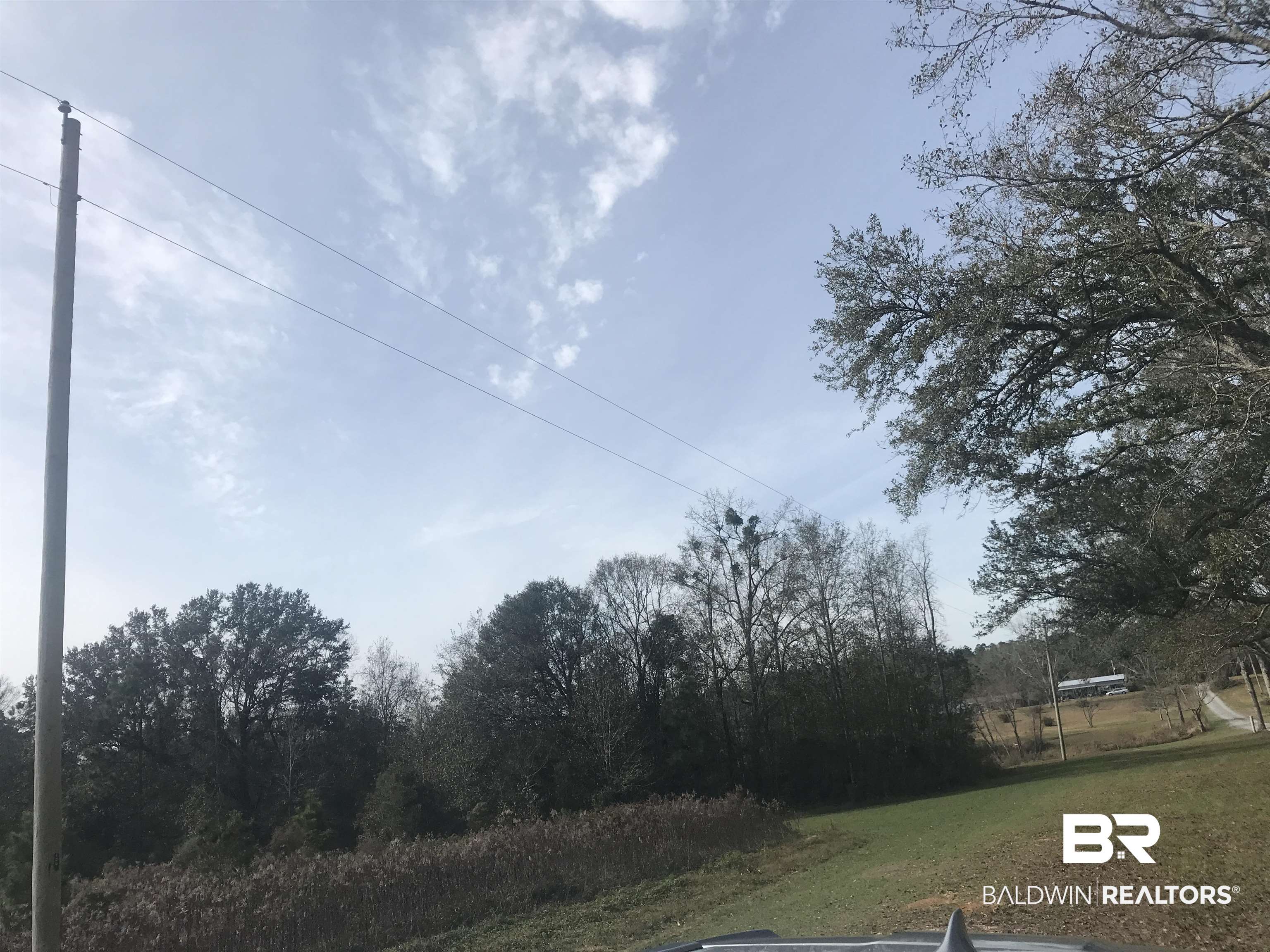0 Steadham Lane Robertsdale, AL 36567 - Photo 10 of 24
