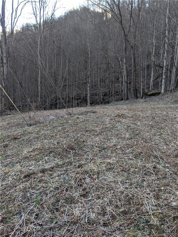 2281 Spillcorn Road Marshall, NC 28753 - Photo 14 of 22 Gallery Image 14