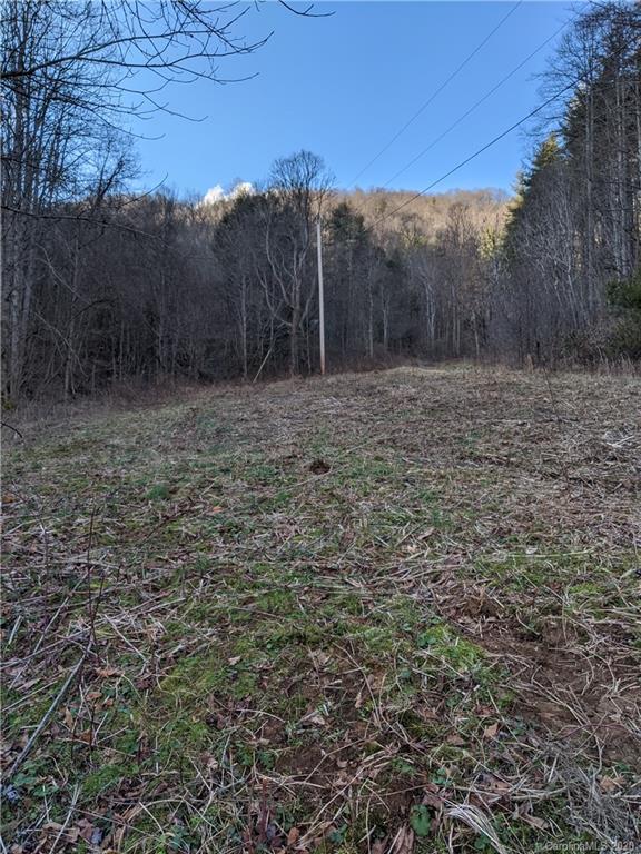 2281 Spillcorn Road Marshall, NC 28753 - Photo 15 of 22 Gallery Image 15